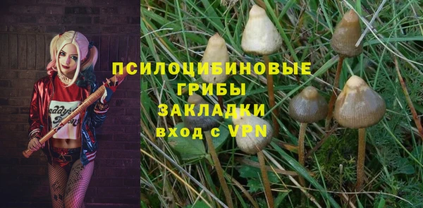 дмт Касимов