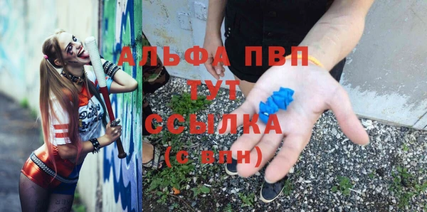 PSILOCYBIN Карпинск