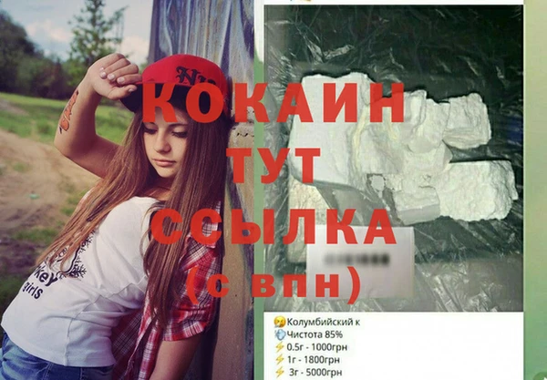 дмт Касимов