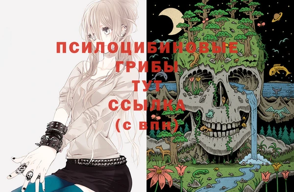 дмт Касимов