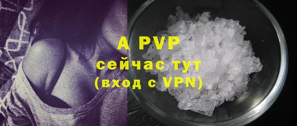 PSILOCYBIN Карпинск